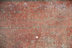 Old Brick Grunge Texture 913