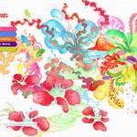 Havaianas Colourful Website