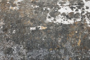 free high res concrete texture 1326