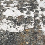 concrete texture 1326 thumbnail